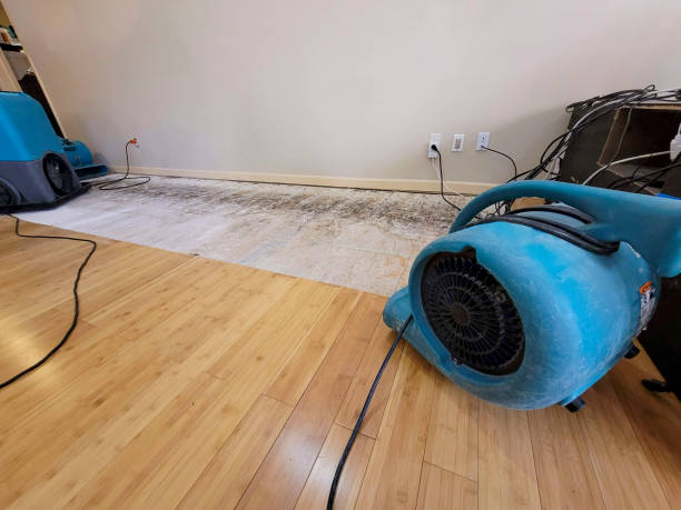 Professional Water Damage Repair technician working in Hubbard, TX